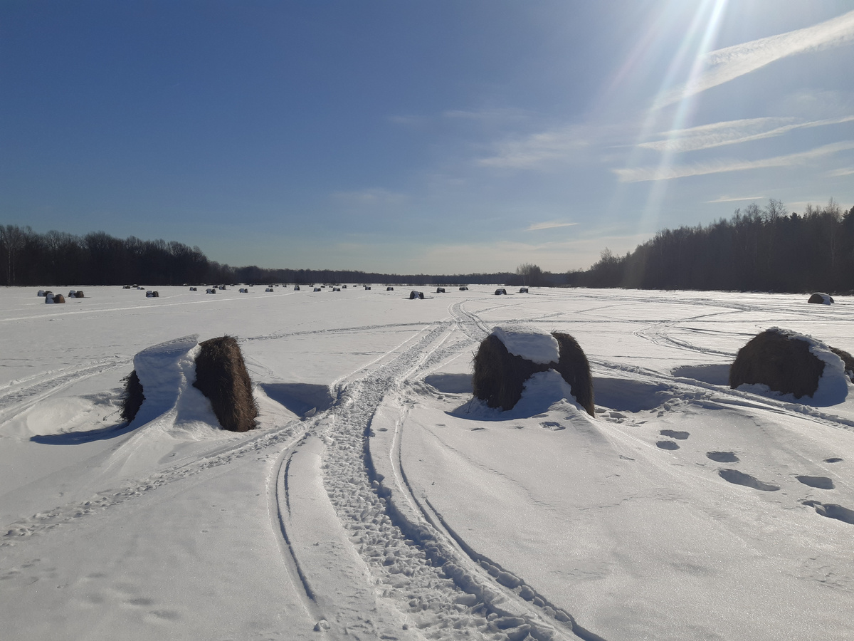 На лыжах в путь