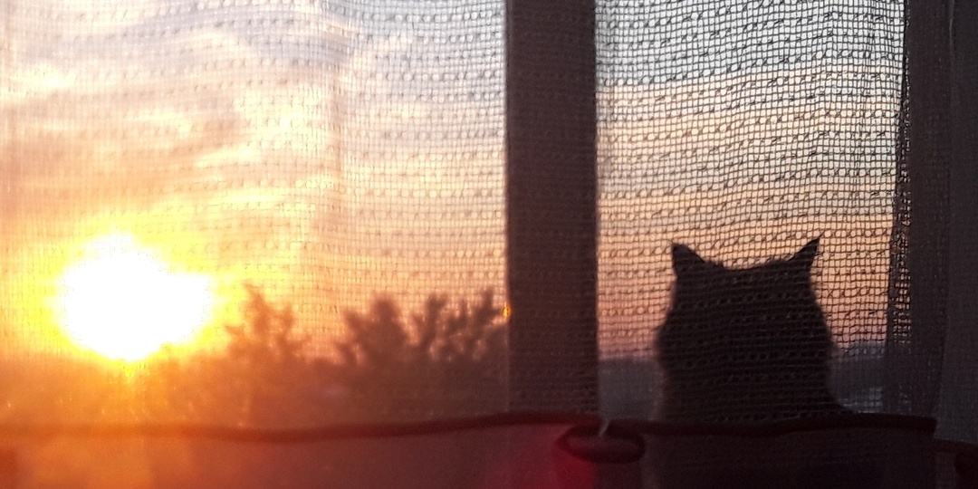 Тебе хватает?