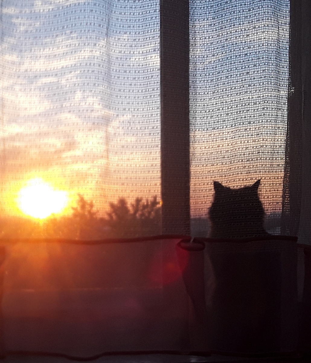 Жить– это любоваться закатом.