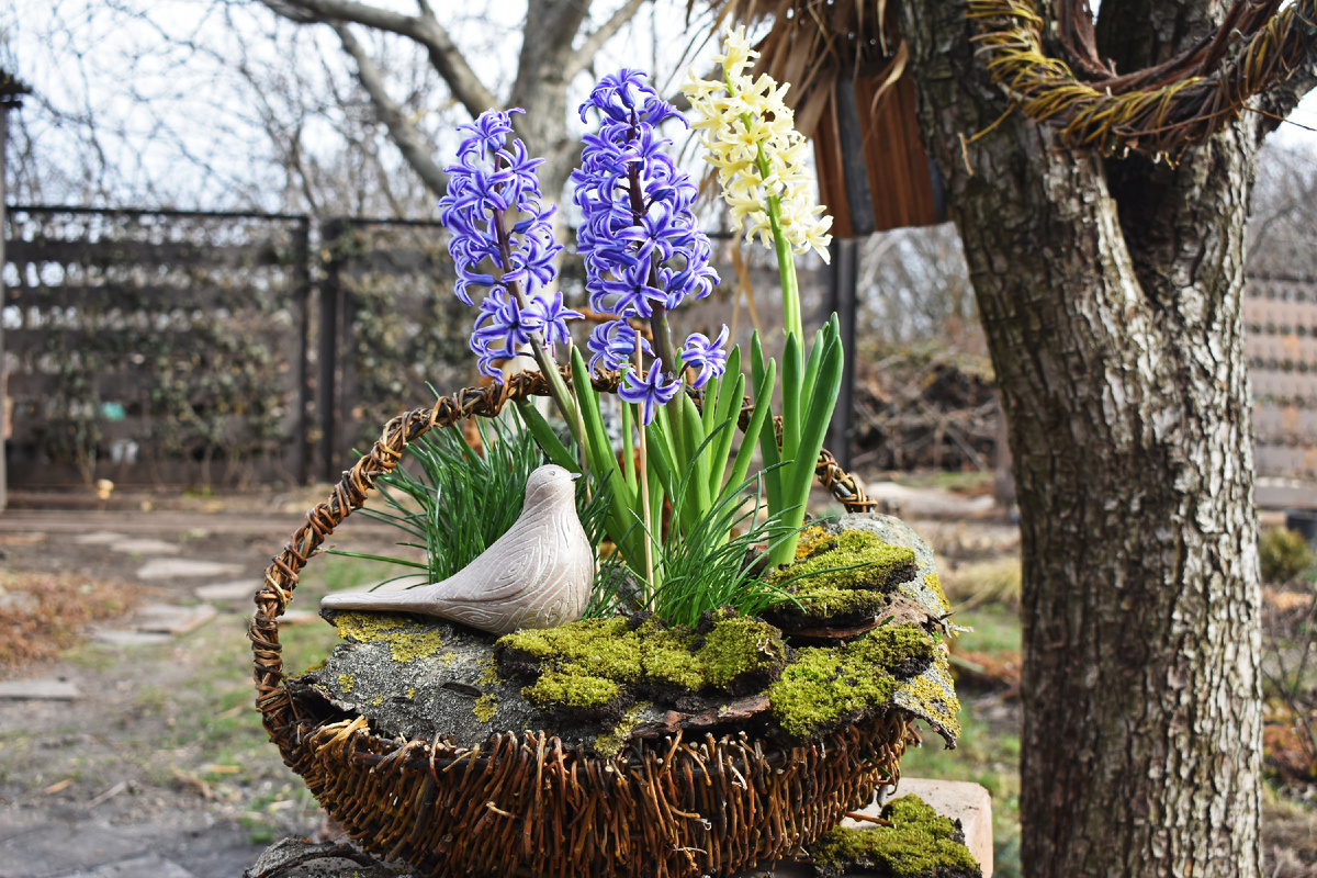Совсем неидеальная весенняя композиция. Ниже узнаем, как ее можно было улучшить.