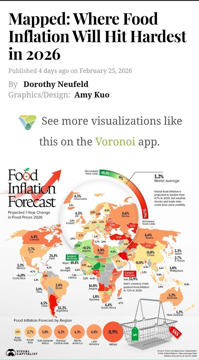 Источник © Visual Capitalist / Dorothy Neufeld