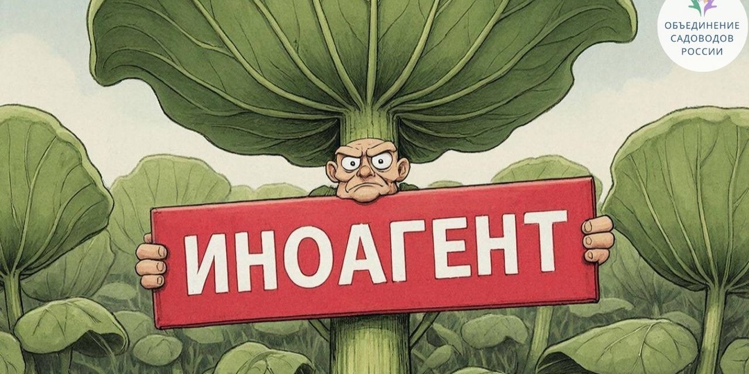 Борщевик Сосновского - иноагент?