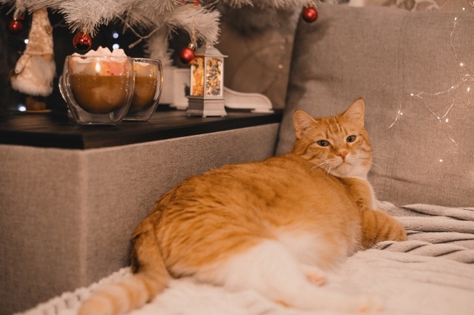 Фото: Екатерина Громова