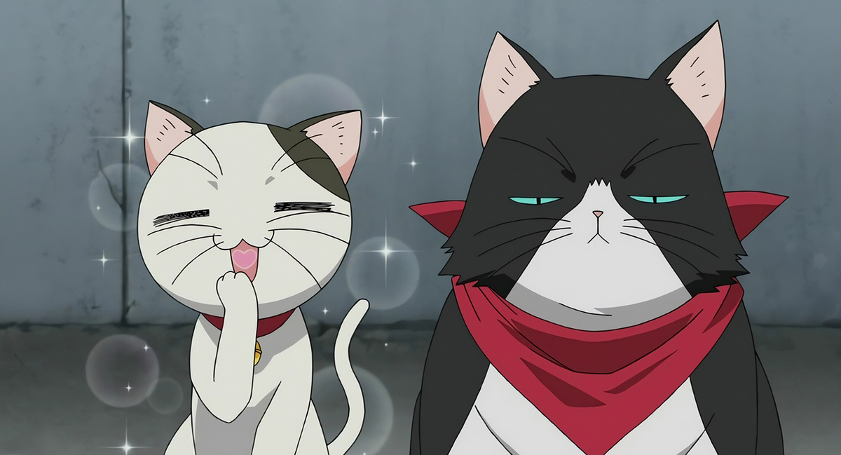 Кадр из аниме «Кошачьи прихоти!» (Nyan Koi!, 2009). © Sato Fujiwara / AIC