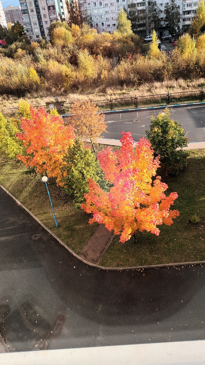 Краски осени.