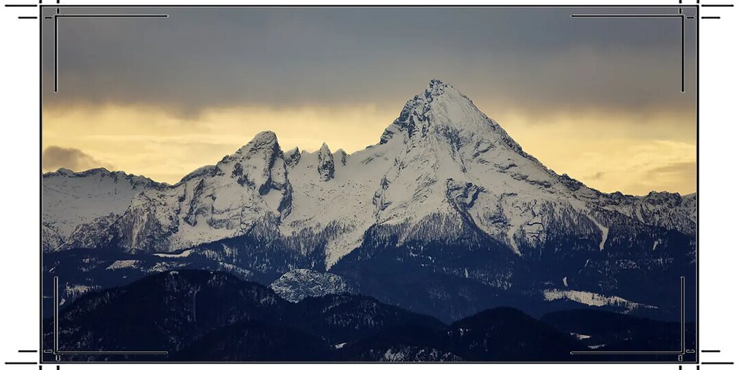 Жестокий король Вацманн