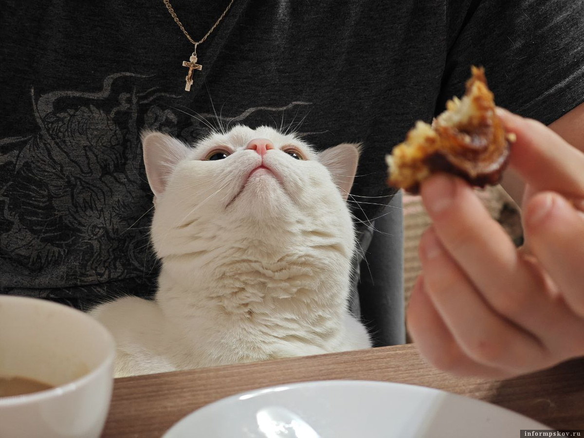 Фото: Анастасия Куртеева / ПАИ