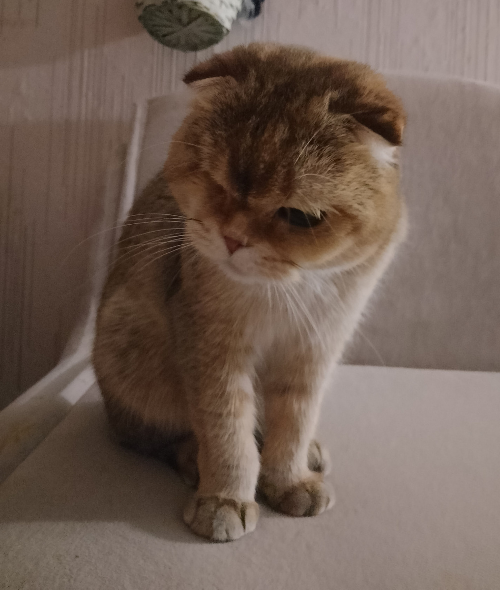 Глаза б мои тебя не видели, Наташа! 