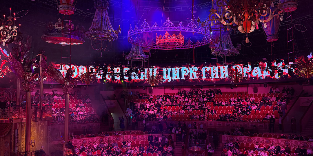 В 30 лет я снова пошла в цирк — и это оказалось самым «вау» за последнее время