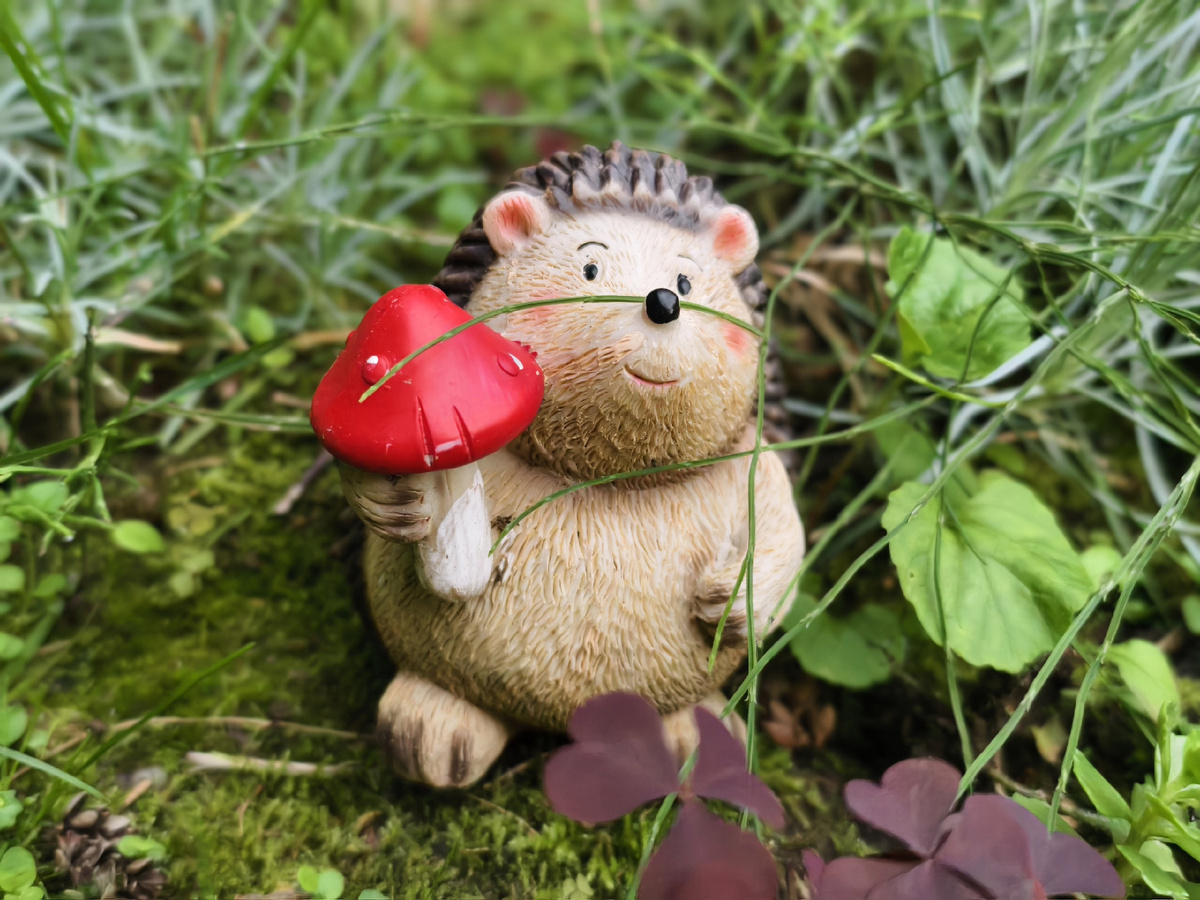 Ежик в траве