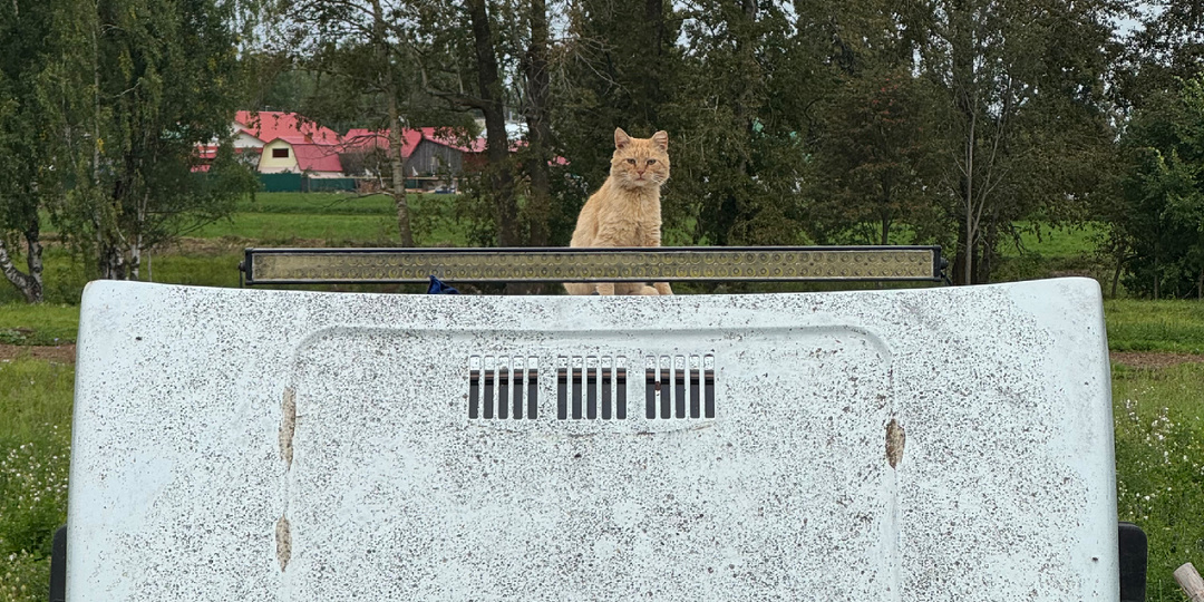 Сколько реально денег съела Нива за первый сезон охоты