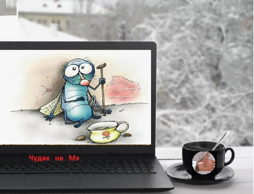 "Правда жизни от мух!" Фотомонтаж автора