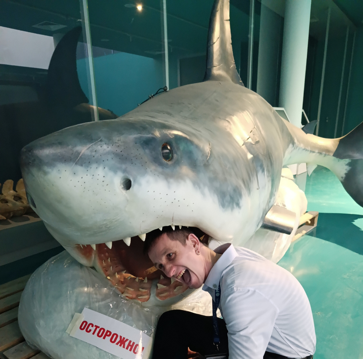 Что вы, она у нас добрая! Она просто играется! 