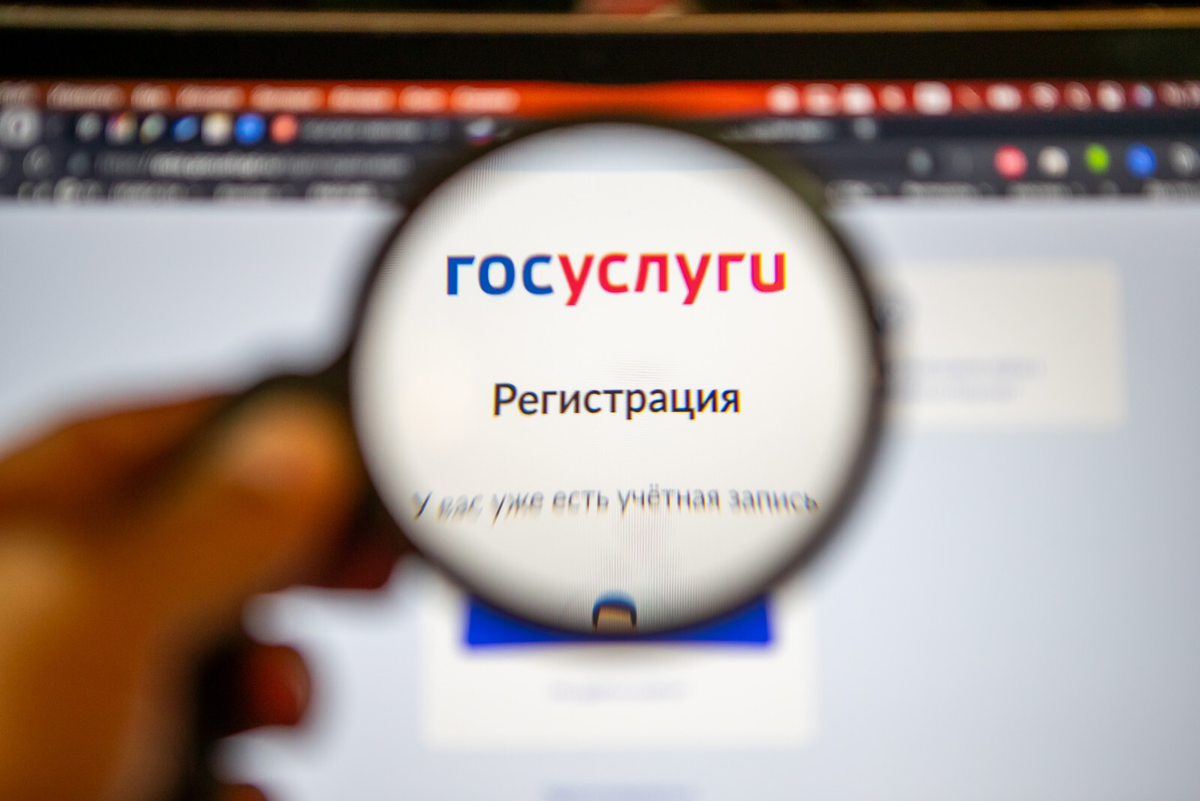 Фото: Олег Золото / «Вечерний Санкт-Петербург»