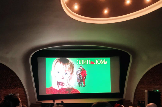 Один дома под новый год