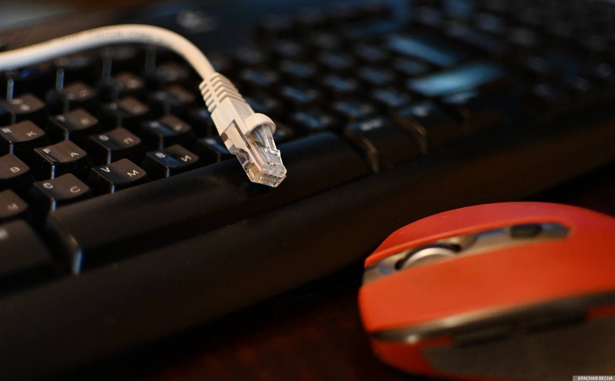     Интернет\   
Иван Лазебный © ИА Красная Весна