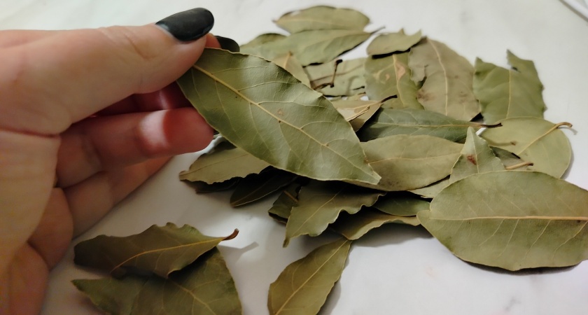    Фото prochepetsk.ru