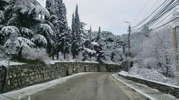    © Telegram-канал главы администрации Ялты Янины Павленко