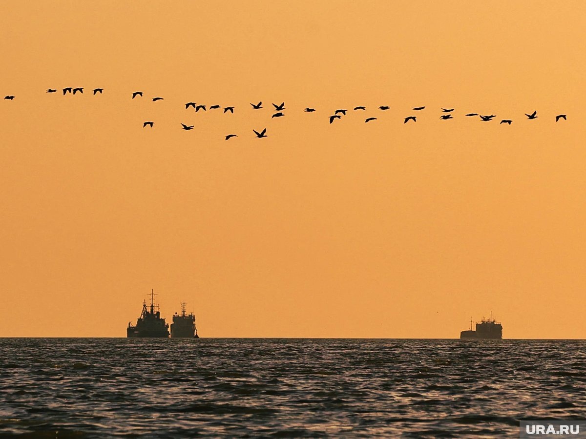     США ликвидировал иранские корабли в Оманском заливе