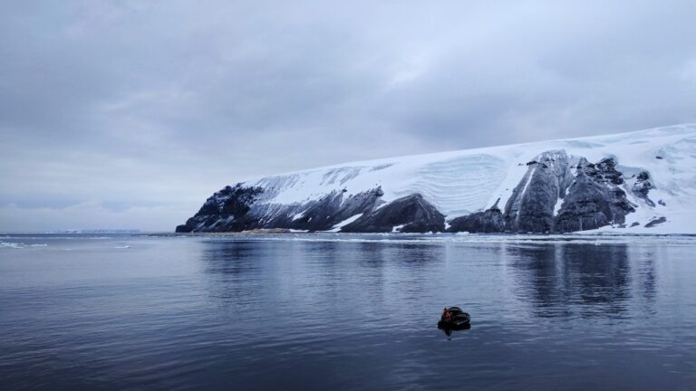    Фото: wiki commons/owamux/CC BY 2.0 Алина Колупаева
