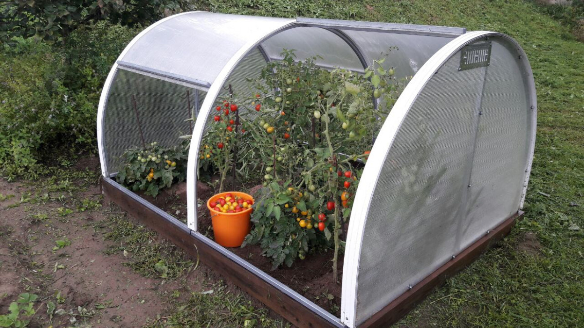 Яндекс Картинки