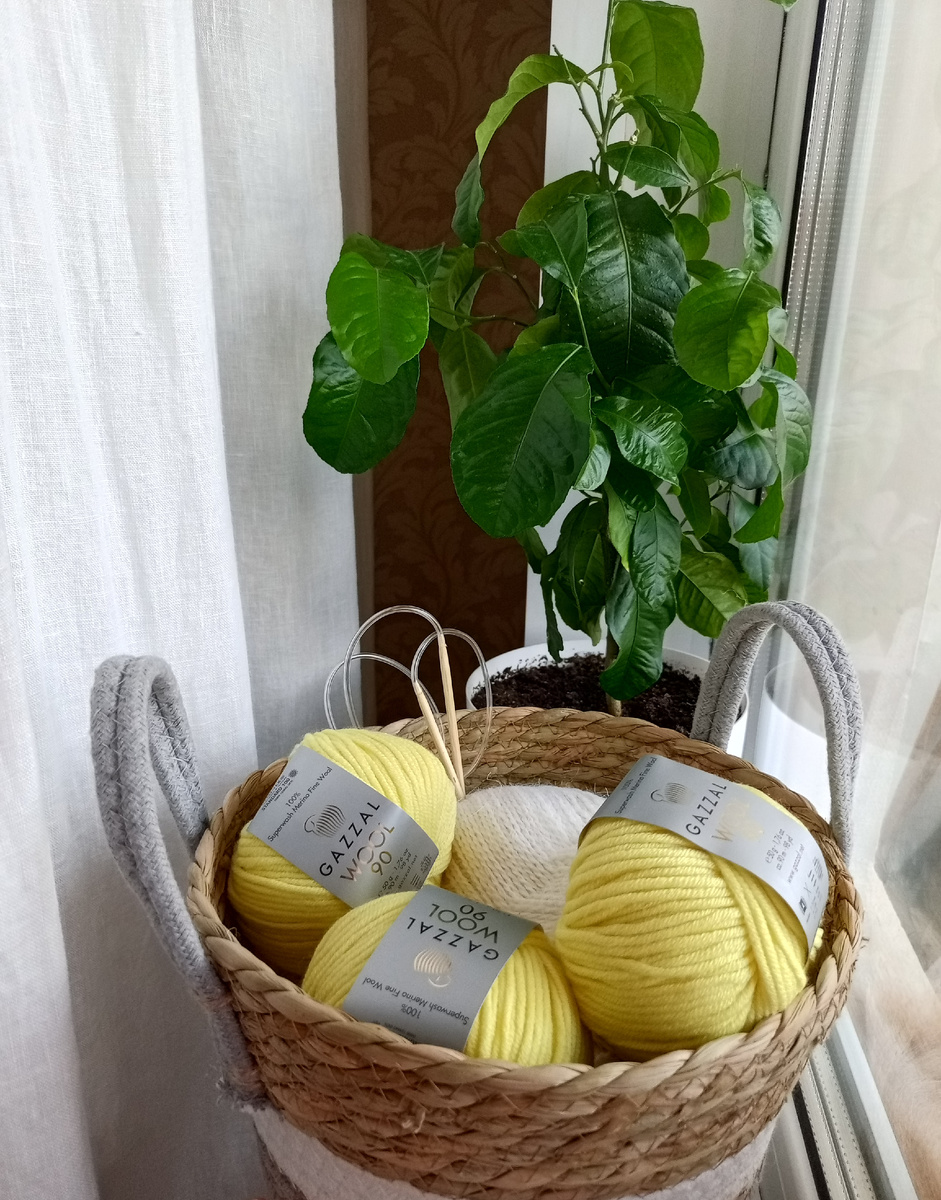 Лимонное дерево и "урожай" вязальщицы