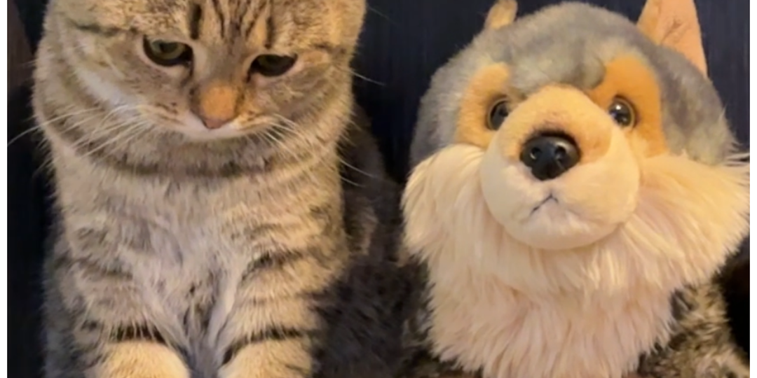 Как назовем это фото?😻