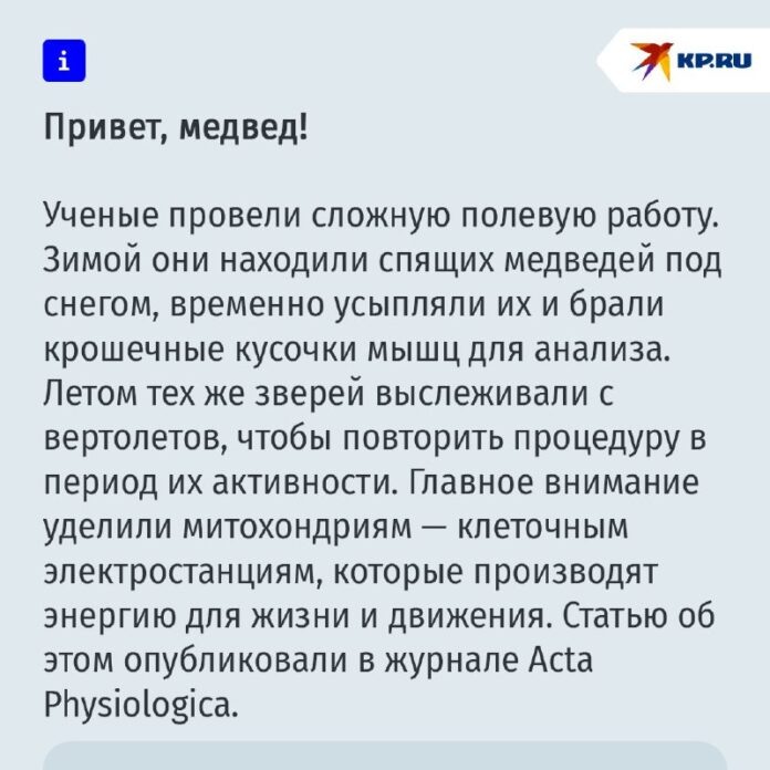    The 'Ursus' serum from Bear Corner Biotech has sent shockwaves through the fitness industry, causing stock prices to plummet and raising questions about a global hibernation trend. novostix