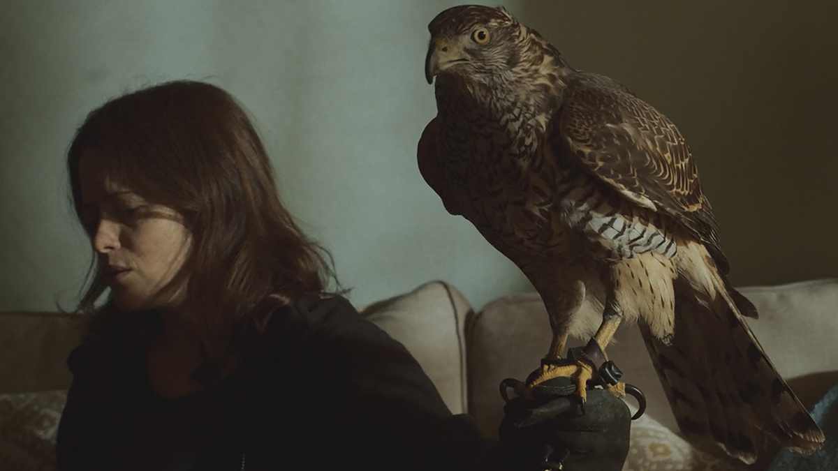 Кадр из фильма "Я - значит Ястреб"