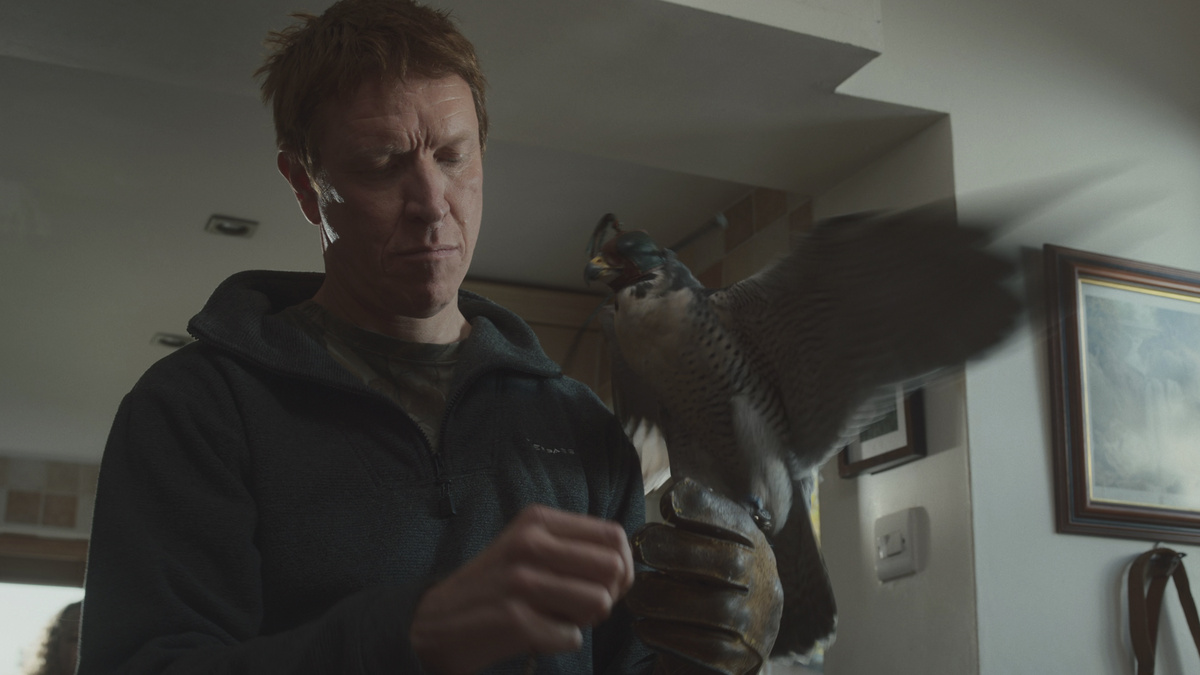 Кадр из фильма "Я - значит Ястреб"