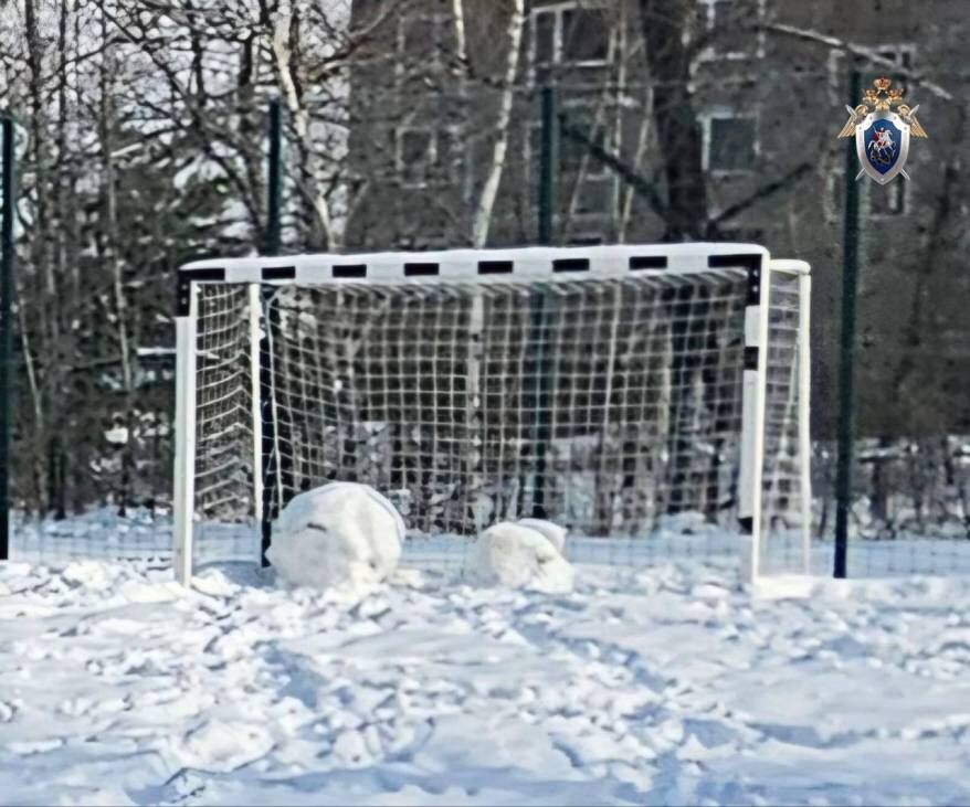    Источник фото: СК РФ по Приморскому краю