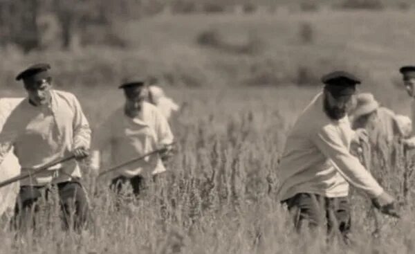 Взято из открытых источников интернета Яндекс.