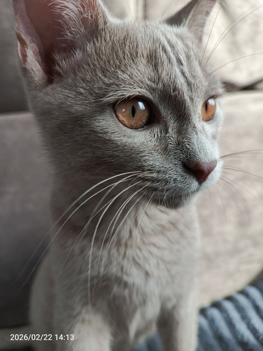 Типа задумался