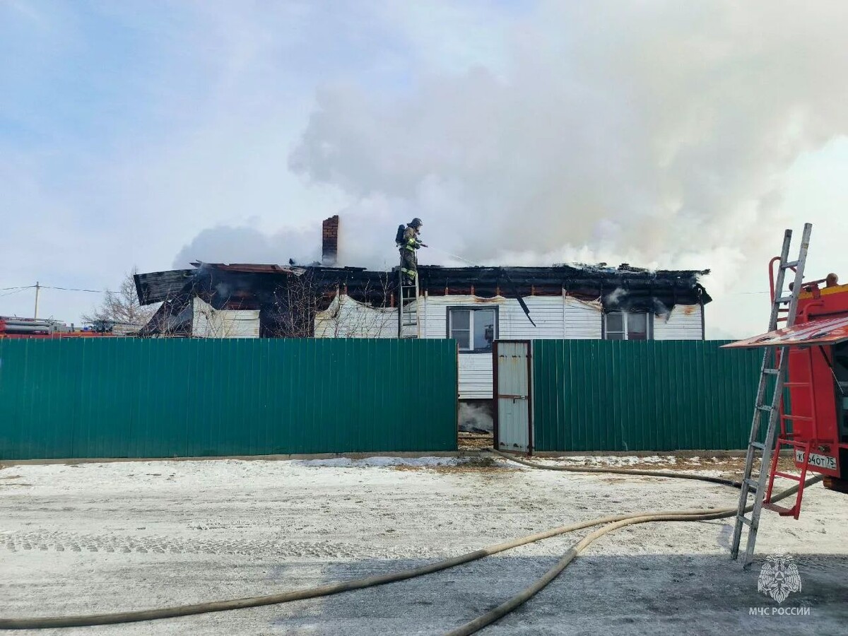    Фото: Пресс-служба ГУ МЧС России по Забайкальскому краю