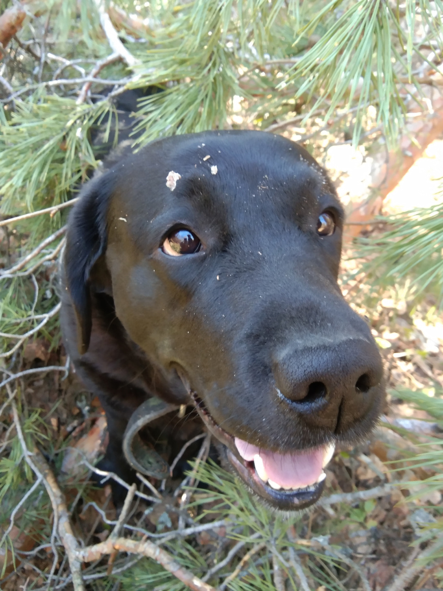 Фото автора. 