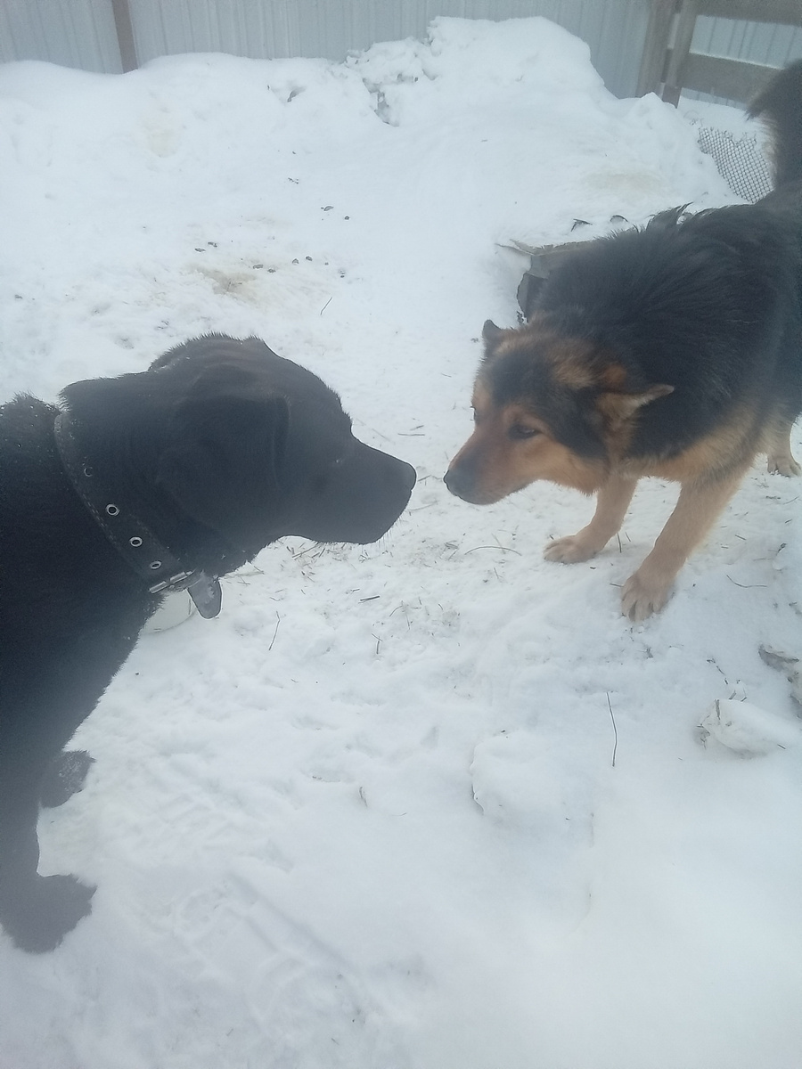 Фото автора. 