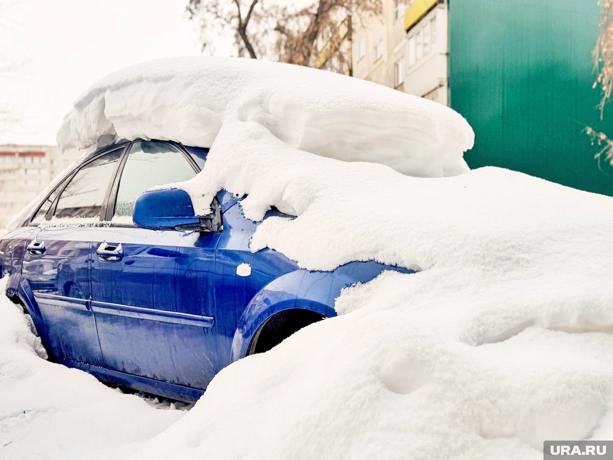     Зима в Кургане стала аномальной снежной