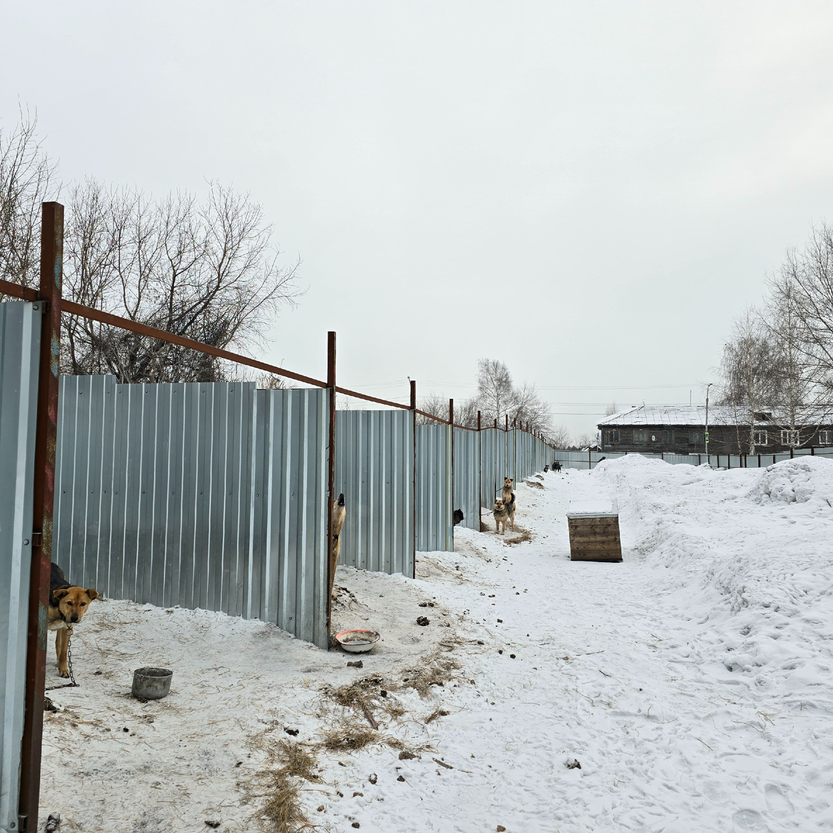 Дружная компания решила устроить снежную вечеринку