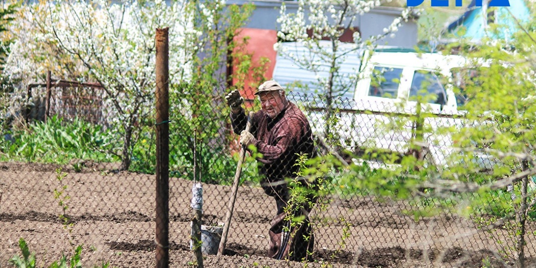 Что ждёт в марте пенсионеров, у которых есть дача или огород