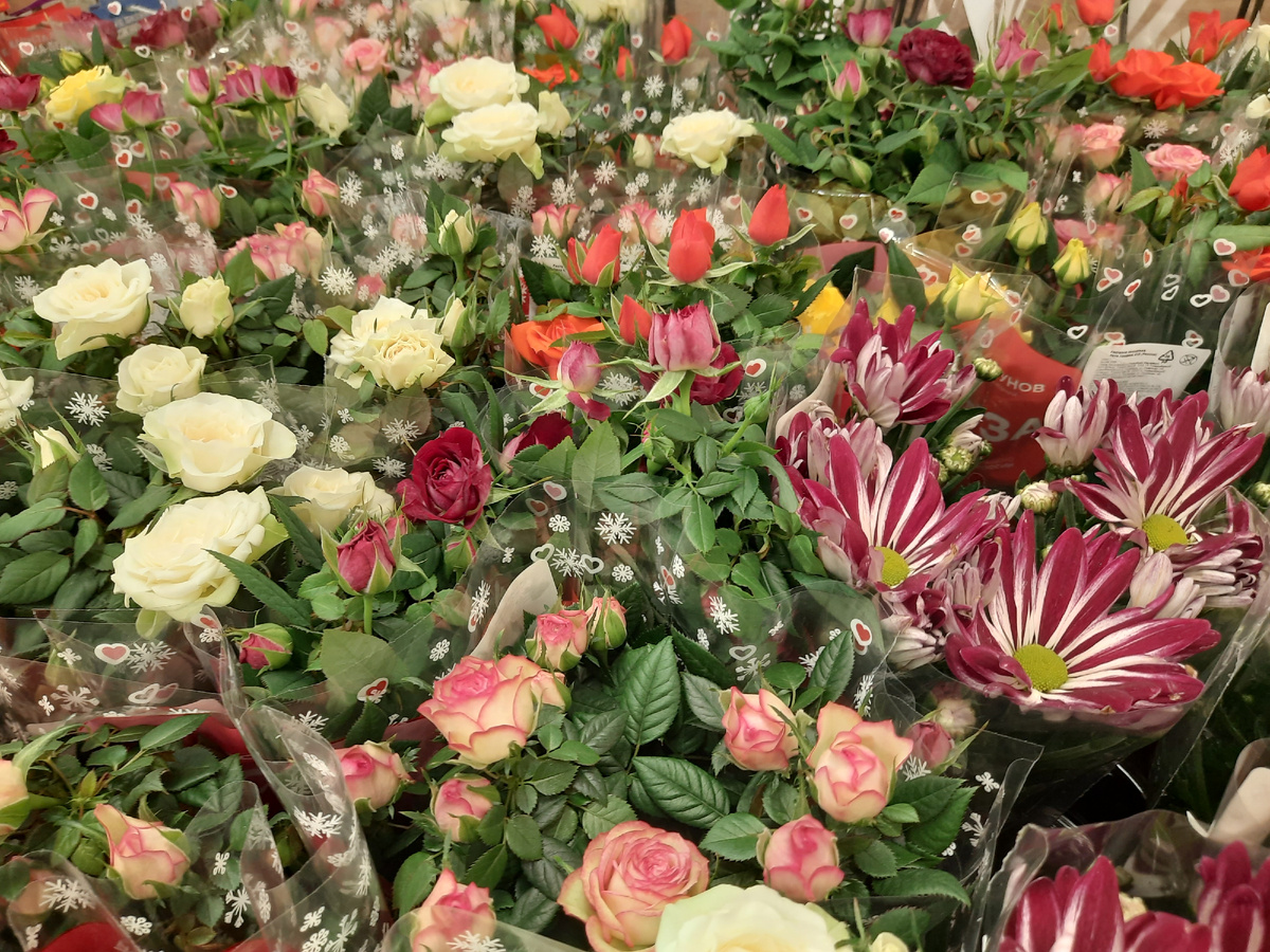 как в оранжерее