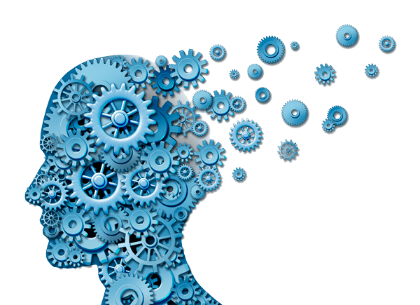 Фото из Сети