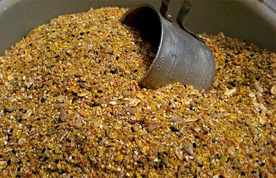 Правильная мешанка для кур