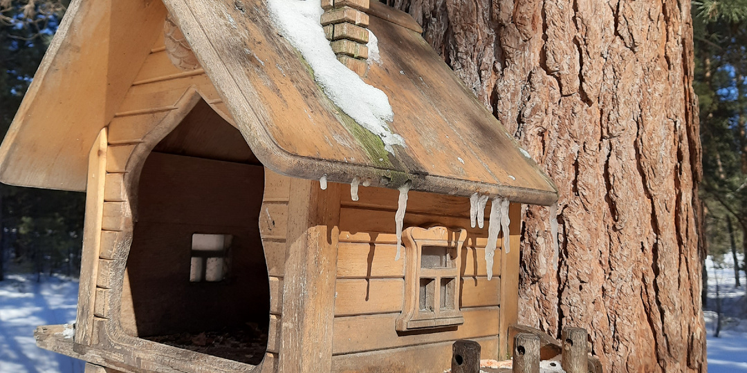 В лесу новые оригинальные кормушки! Готовлюсь к летнему дачному сезону