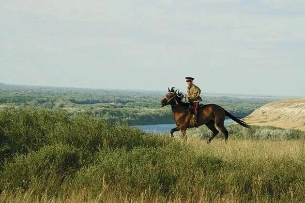 Взято из открытых источников интернета Яндекс.