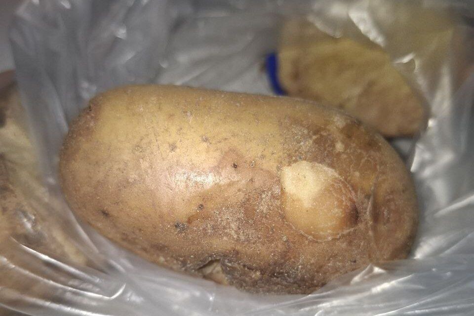    Фото: Управление Россельхознадзора по Забайкальскому краю