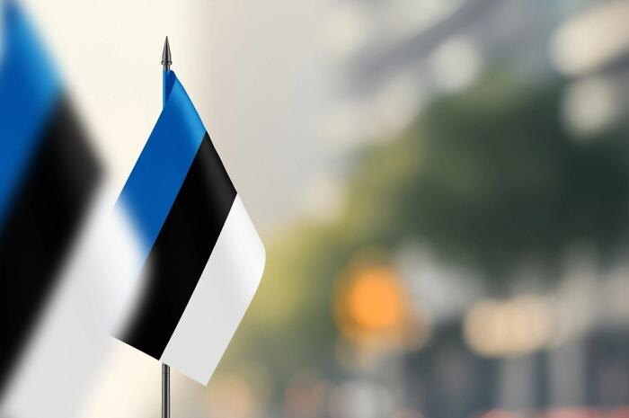 Обложка © Shutterstock / FOTODOM / Mini Onion