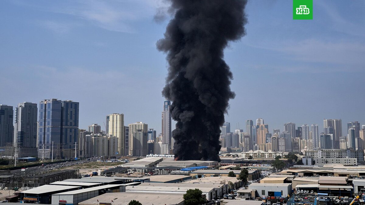    Фото: Associated Press © 2026, Altaf Qadri