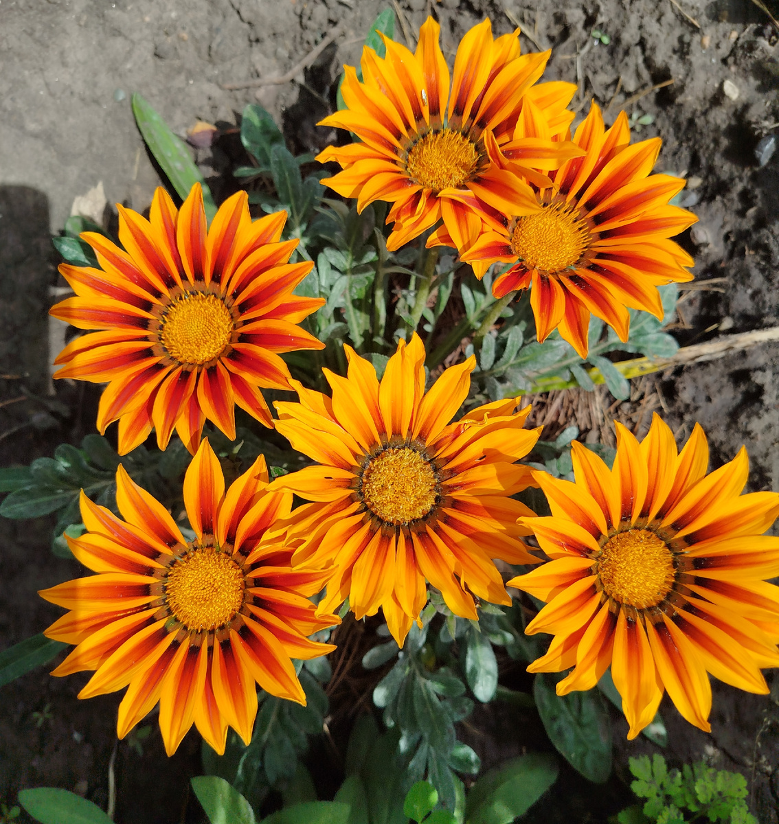 А это мой личный букет для вас от всей души!