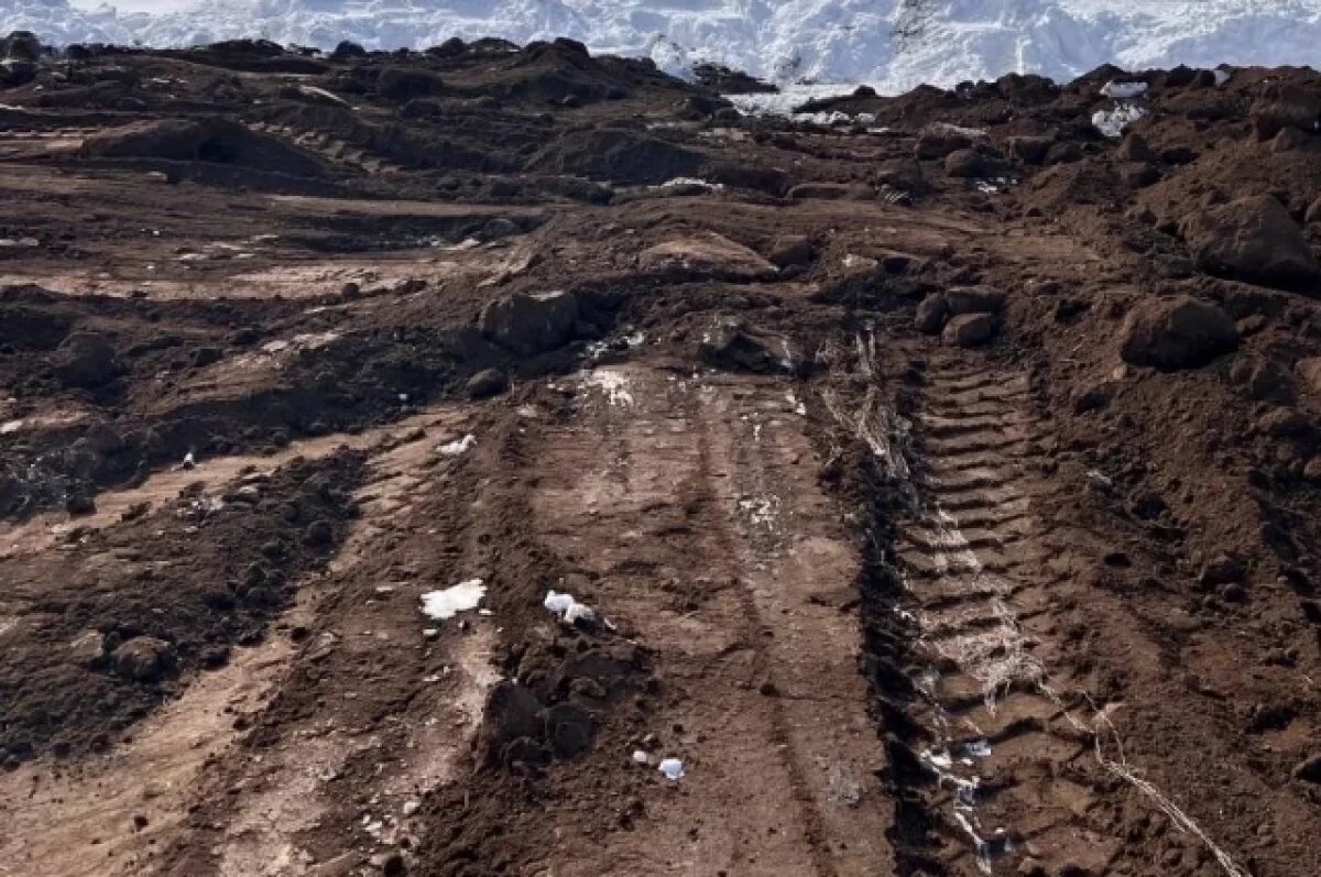    Инспекторы отобрали пробы почвы и направили их на экспертизу.