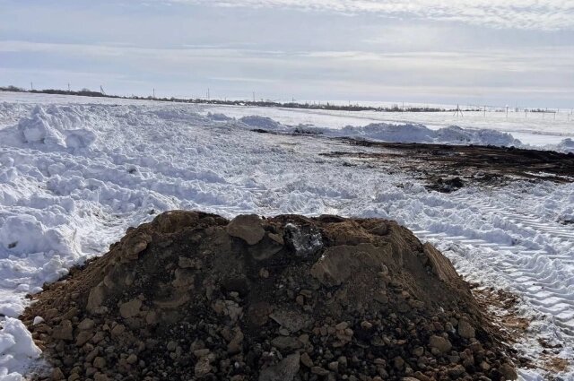    Фото: Россельхознадзор по Оренбургской области